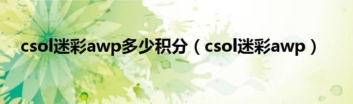 csol迷彩awp多少积分（csol迷彩awp）