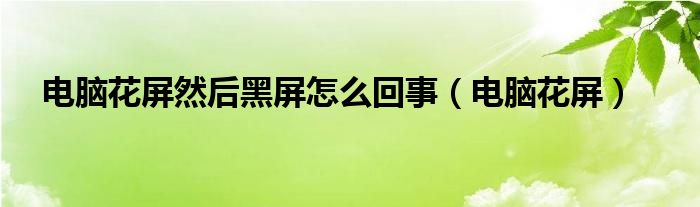 电脑花屏然后黑屏怎么回事（电脑花屏）