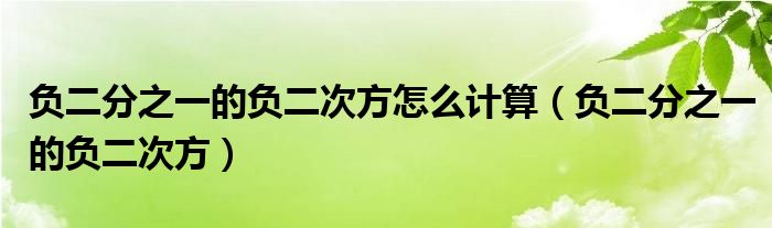负二分之一的负二次方怎么计算（负二分之一的负二次方）
