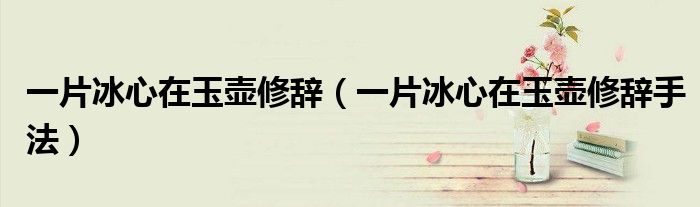 一片冰心在玉壶修辞（一片冰心在玉壶修辞手法）