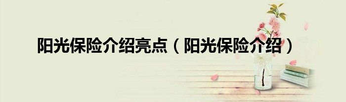 阳光保险介绍亮点（阳光保险介绍）