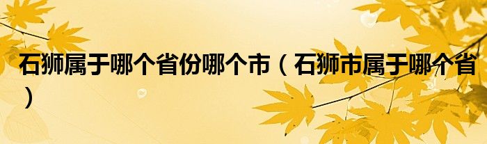 石狮属于哪个省份哪个市（石狮市属于哪个省）