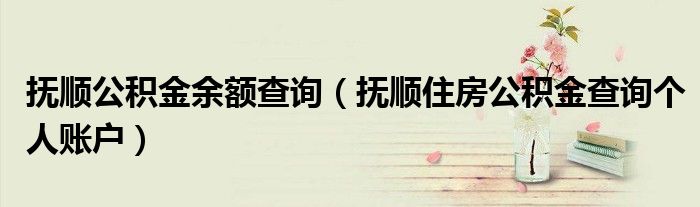 抚顺公积金余额查询(抚顺住房公积金查询个人账户)