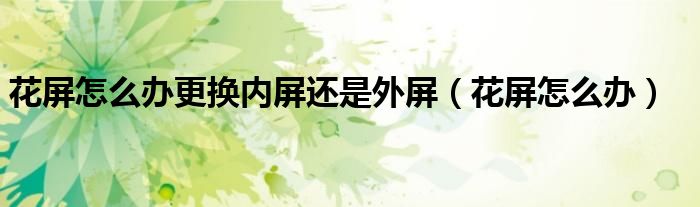 花屏怎么办更换内屏还是外屏（花屏怎么办）