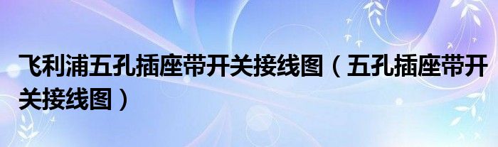 飞利浦五孔插座带开关接线图（五孔插座带开关接线图）