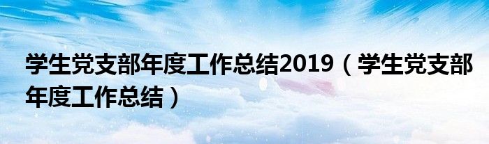学生党支部年度工作总结2019(学生党支部年度工作总结)