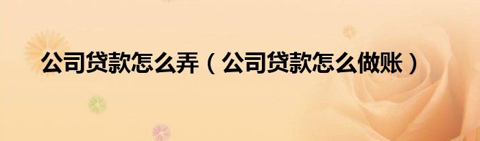 公司贷款怎么弄（公司贷款怎么做账）