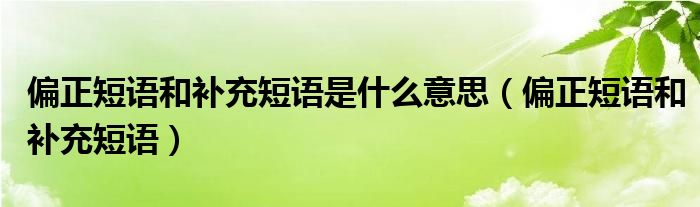 偏正短语和补充短语是什么意思（偏正短语和补充短语）