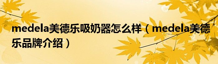 medela美德乐吸奶器怎么样（medela美德乐品牌介绍）