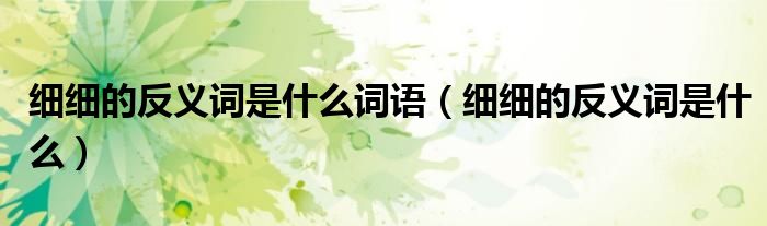 细细的反义词是什么词语（细细的反义词是什么）