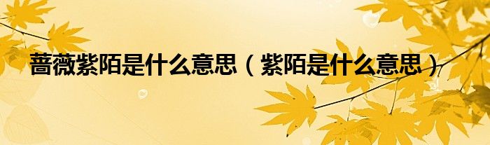 蔷薇紫陌是什么意思（紫陌是什么意思）