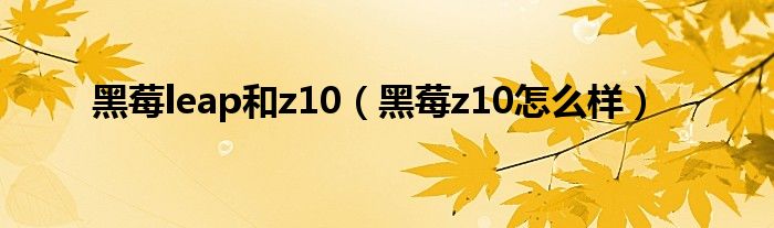 黑莓leap和z10（黑莓z10怎么样）